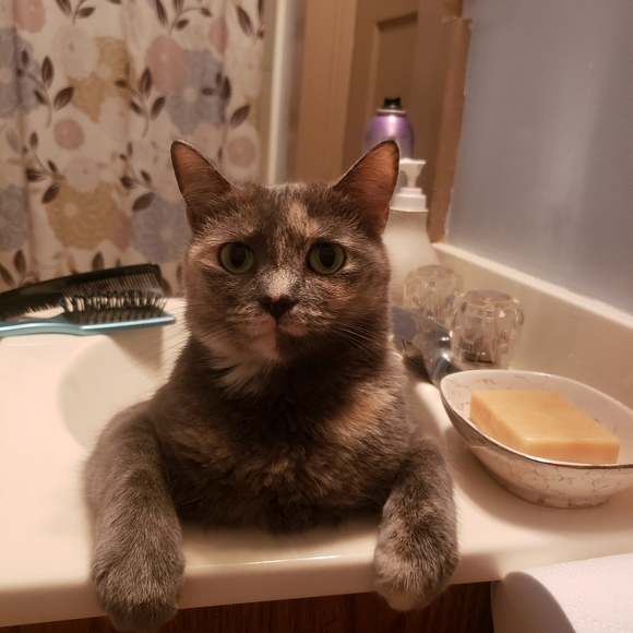 Meet your Posher, Lorie - Picture 1 of 1